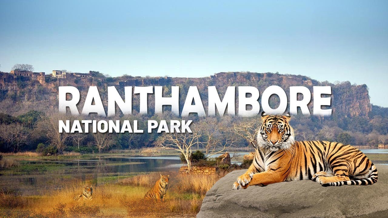 Golden Triangle Tour with Ranthambore